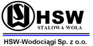 LOGO HSW